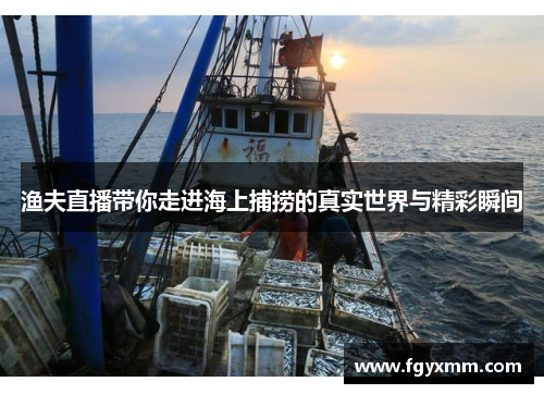 渔夫直播带你走进海上捕捞的真实世界与精彩瞬间