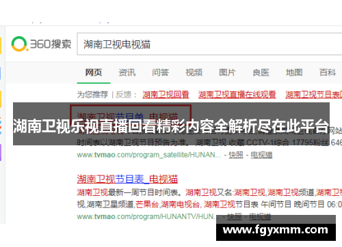 湖南卫视乐视直播回看精彩内容全解析尽在此平台