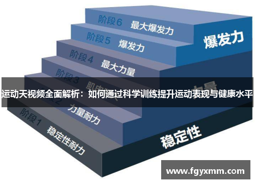 运动天视频全面解析：如何通过科学训练提升运动表现与健康水平