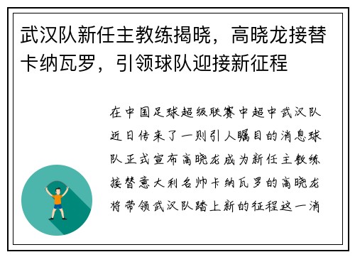 武汉队新任主教练揭晓，高晓龙接替卡纳瓦罗，引领球队迎接新征程