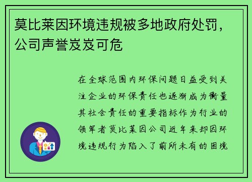 莫比莱因环境违规被多地政府处罚，公司声誉岌岌可危